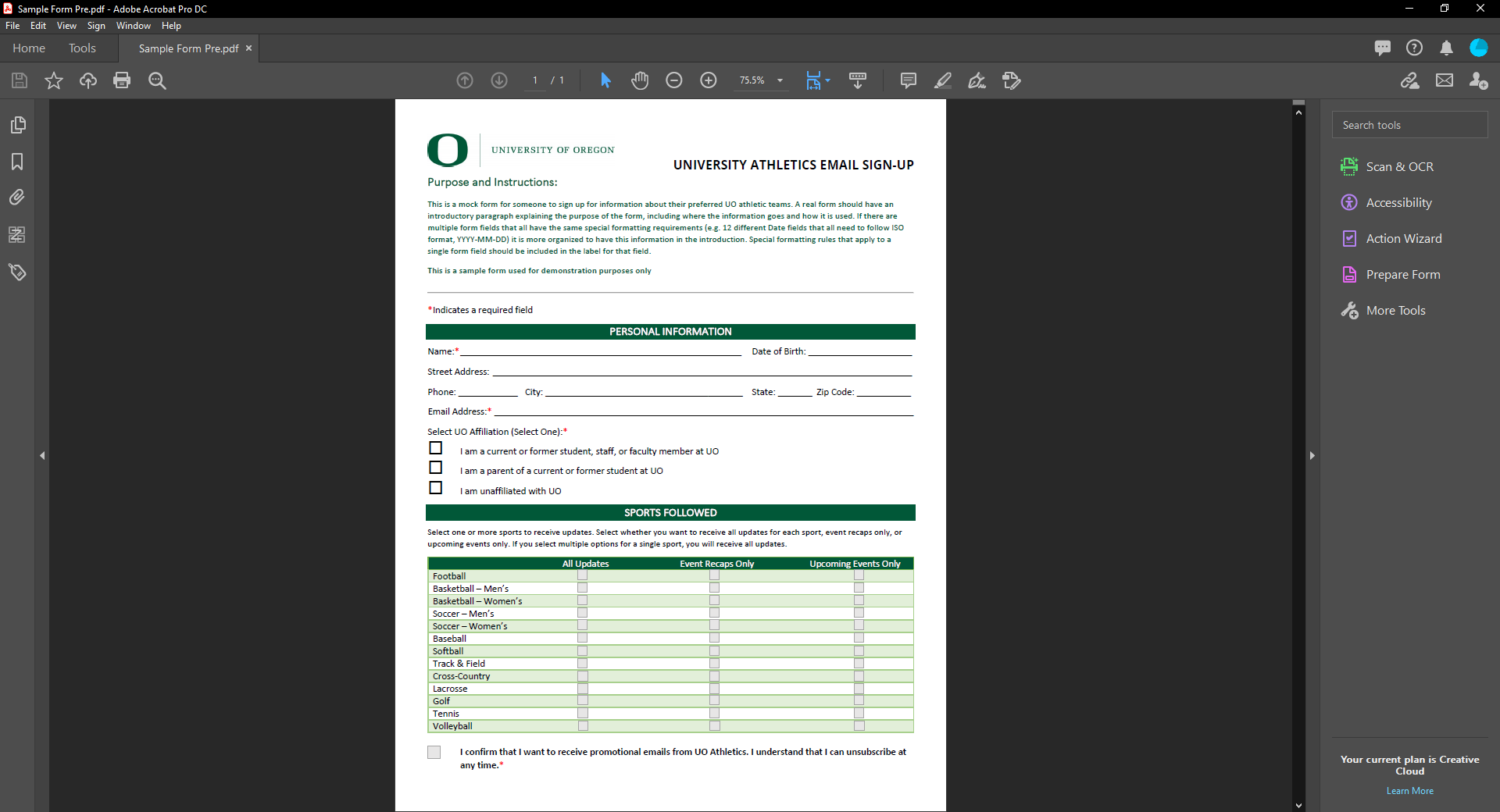 PDF Form before any changes made
